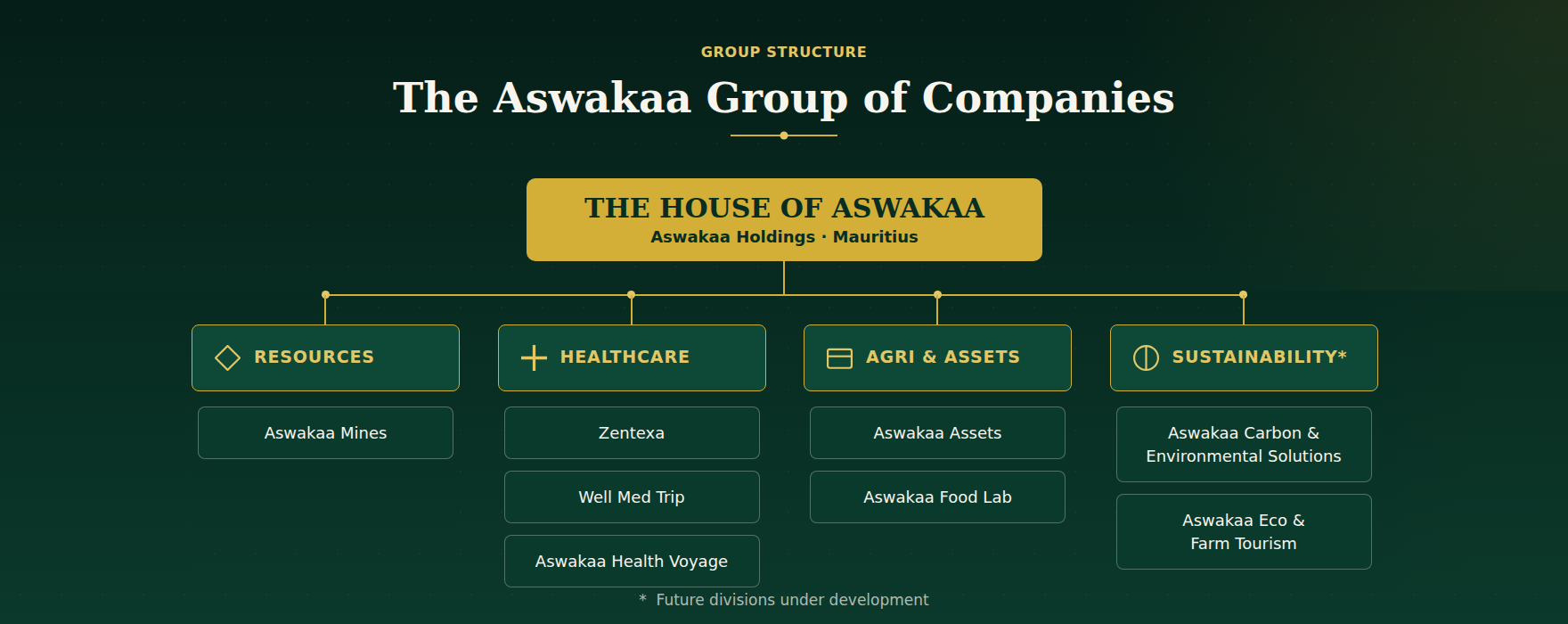 The Aswakaa group of companies organisational chart