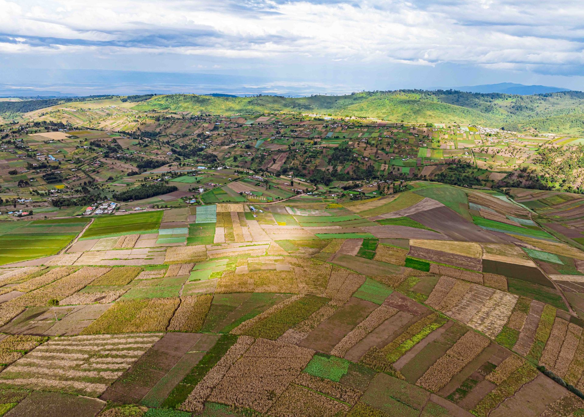 Aerial view of patchwork smallholder farmland