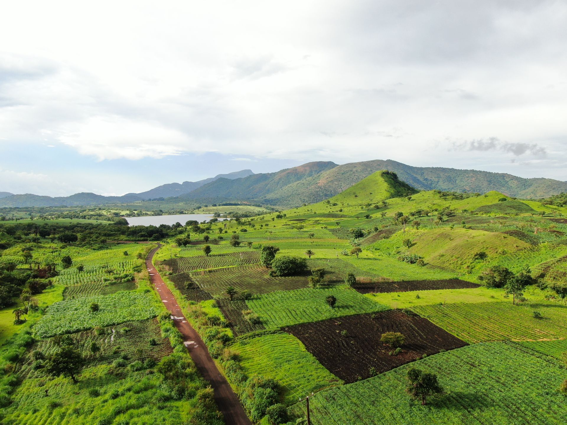 Commercial farmland